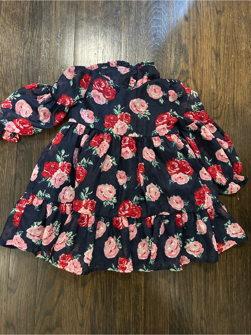 Janie and Jack Navy Dress with Pink & Red Rose Print 2T